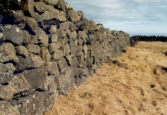 Hlaðinn garður í Þórkötlustaðahverfi