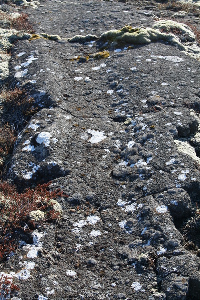 Alfaraleiðin