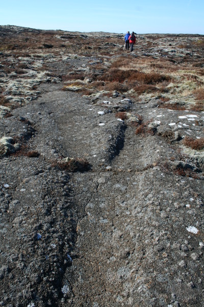 Alfaraleiðin í Hvassahraunslandi