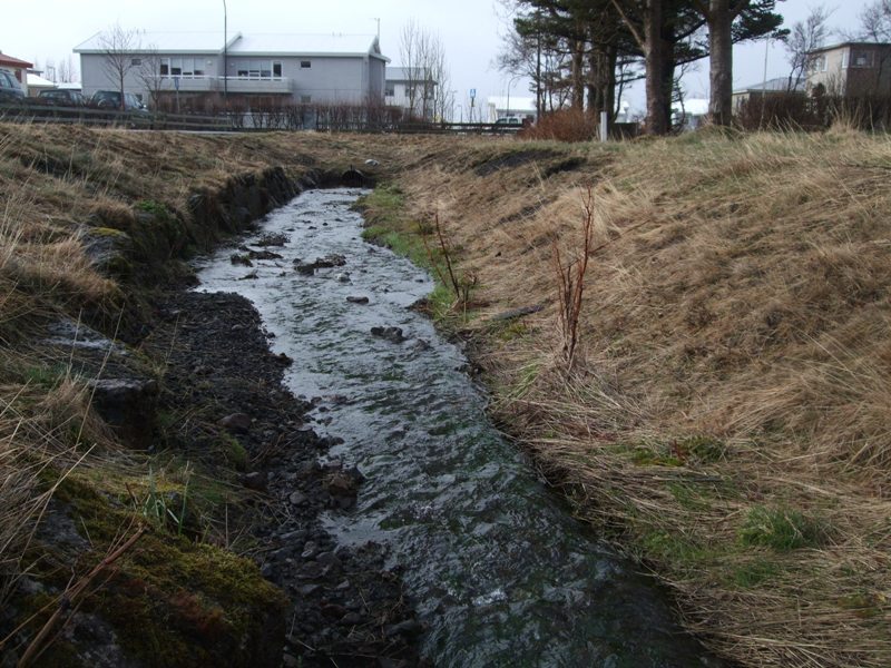 Ásbúðarlækur Alfaraleidin-26