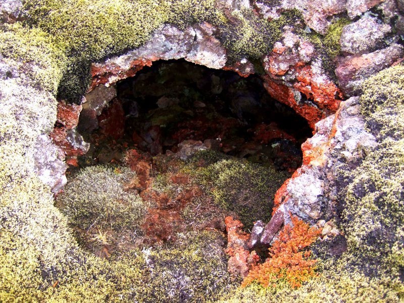 Benediktshellir