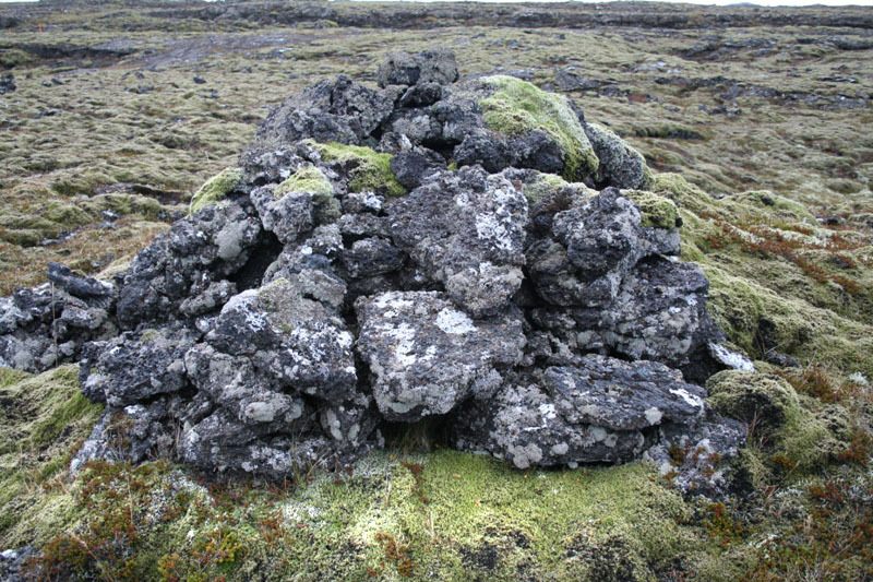 Refagildra