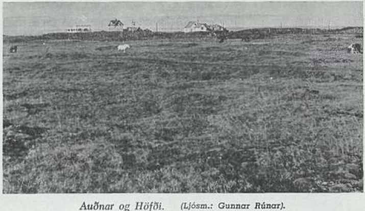 Hofdi og Audnar