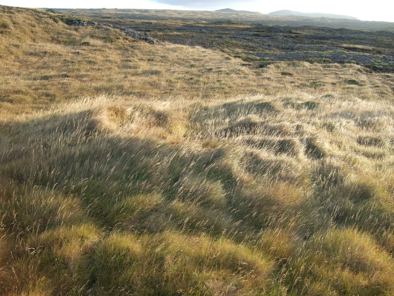 Tóftir í Auðnaseli