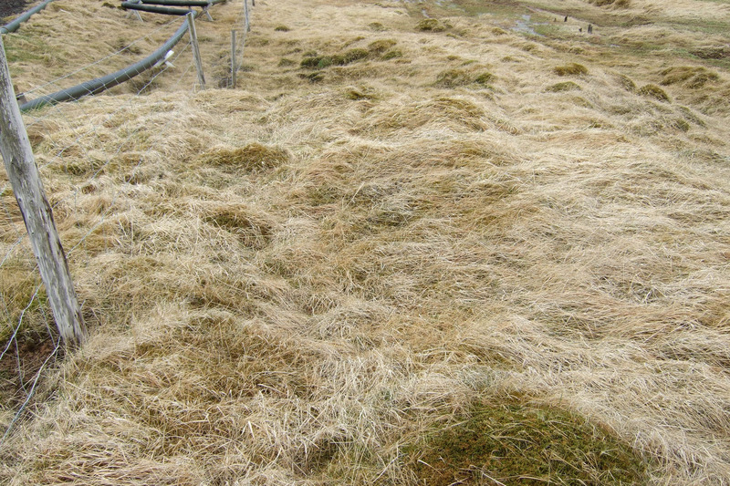 Leifar af húsi námumanna í Baðstofu