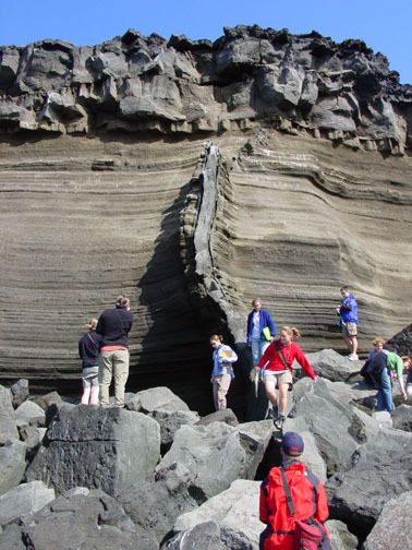 Berggangur a reykjanesi