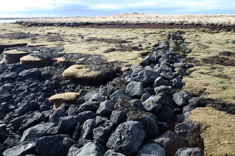 Garður á Vestari