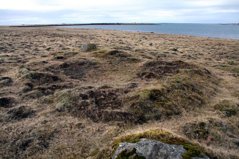 Leifar af timburhúsi ofan við Skólanaust Timburhus