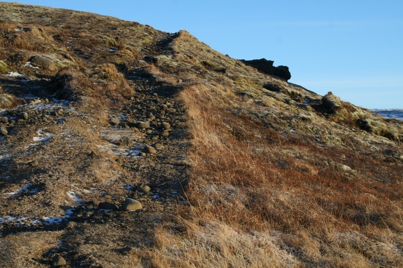 Selsstígurinn Selsstígur