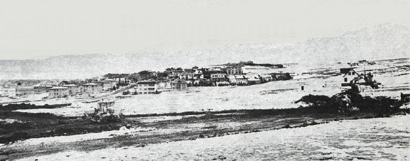 brandsbaer II