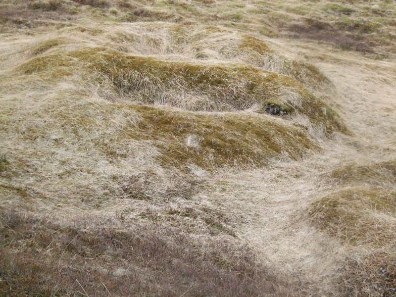 Í Breiðabólstaðaseli í Krossfjöllum Breidabolstadasel I-2