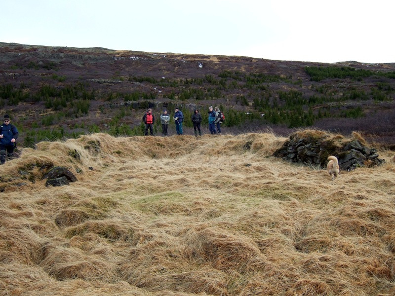 Fjárhús og heygarður í Brynjudal