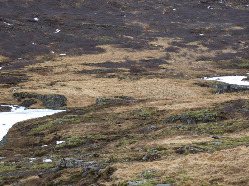 Selið norðan við ána
