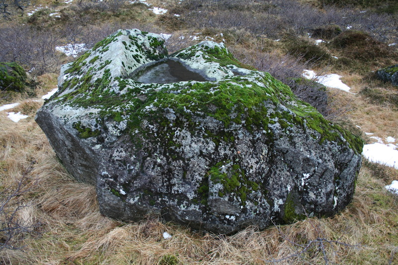 Drykkjarsteinninn