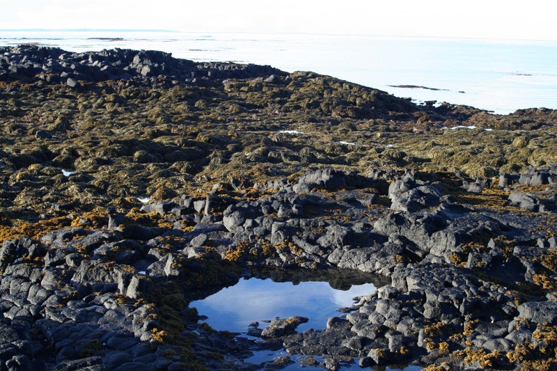 Fjaran