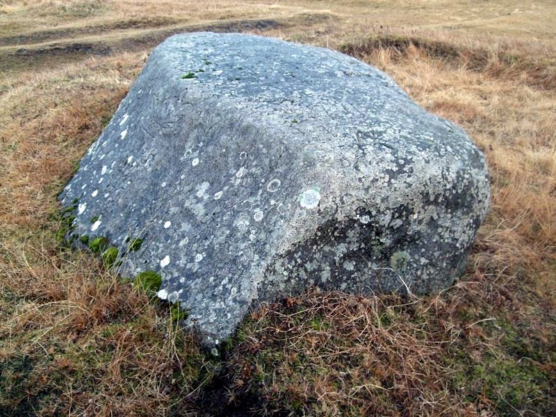 Flokaklopp-225
