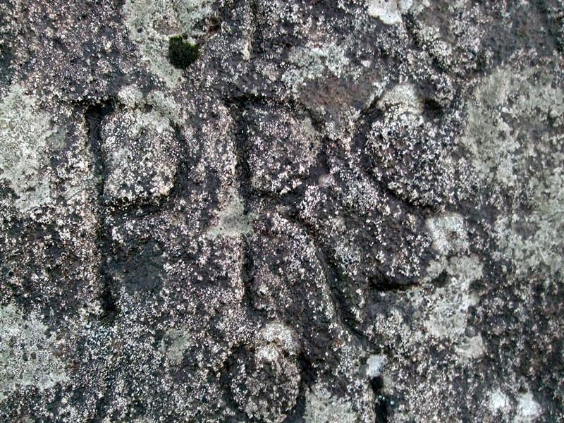 flokaklopp-228