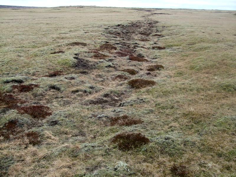 Fornagata á Strandarhæð Fornagata-552