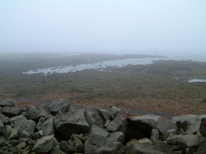 Fornavor