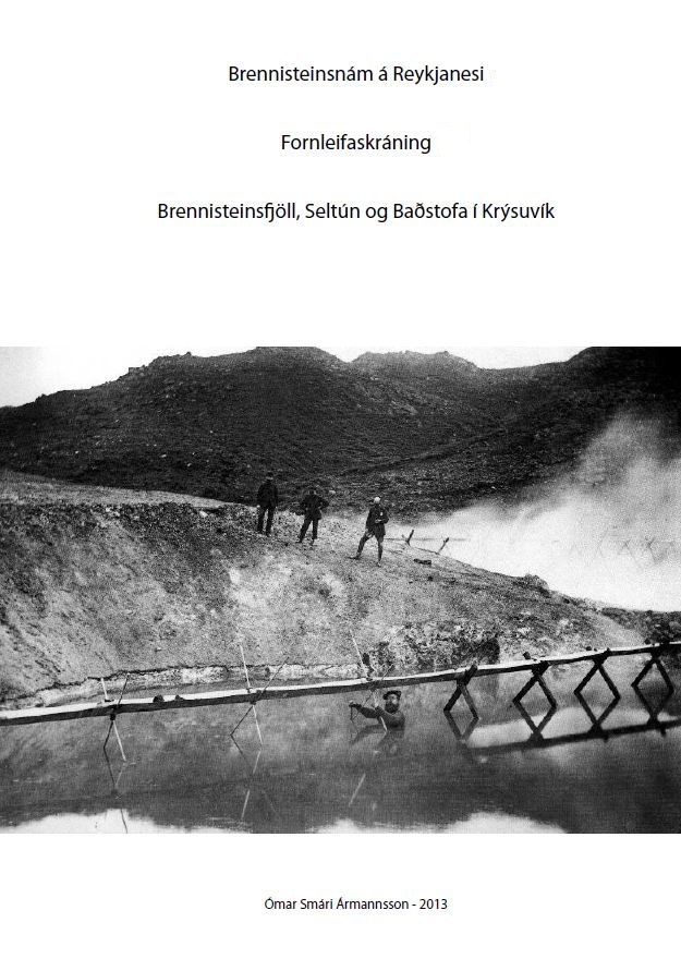 brennisteinsnam-221