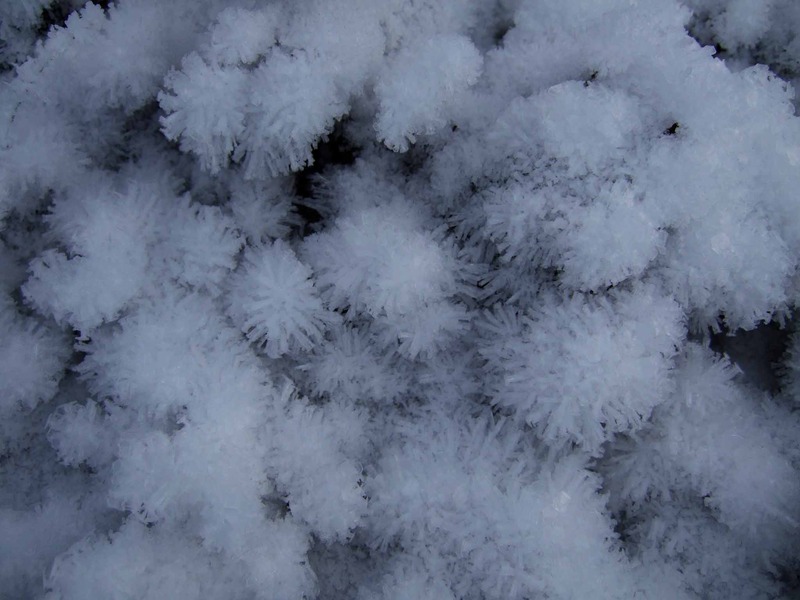 Miðsvetrarfrostverkun