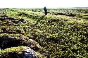 Löggarður 5