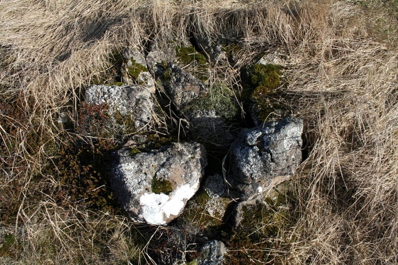Gamli-Kotvogur