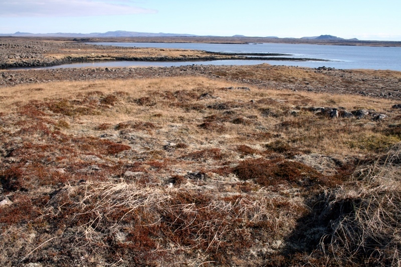 Gamli-Kirkjuvogur - 2