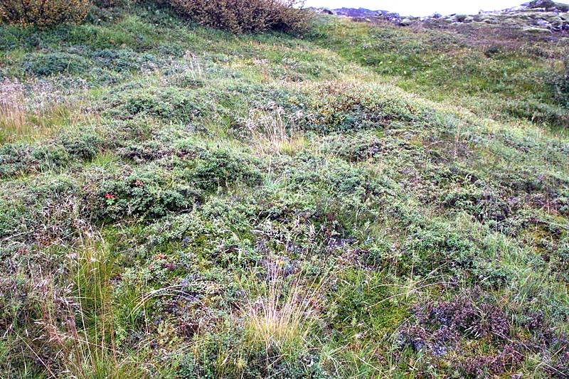 Garðaflatir - minjar gardaflatir - minjar