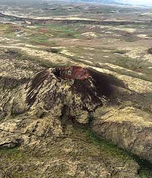 Gráfeldur