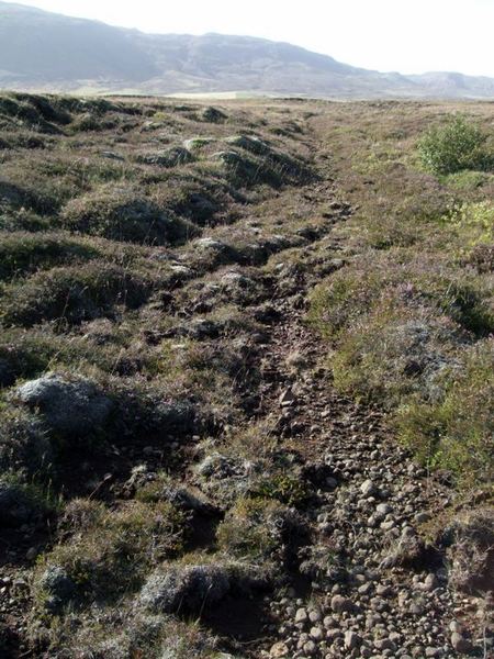 grafningshals-2