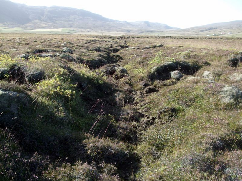 grafningshals-3