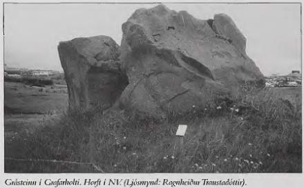 Grásteinn 1989