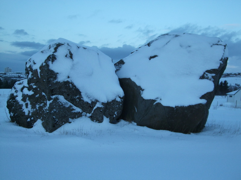 Grásteinn 2008
