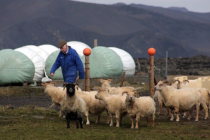 Grindavíkurbændur Grindavik-520