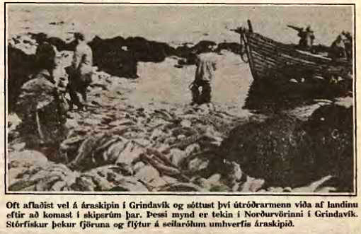 Í Norðurvör