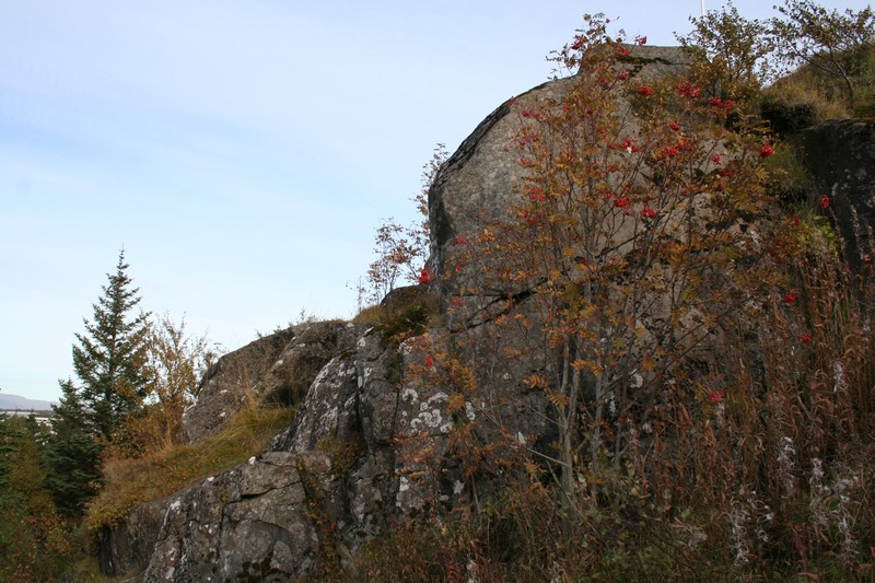 Á Hamrinum