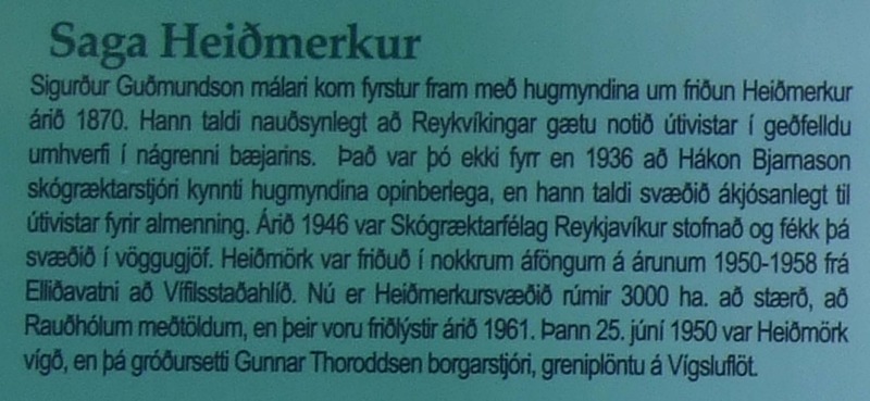 Saga Heiðmerkur Heidmork-221