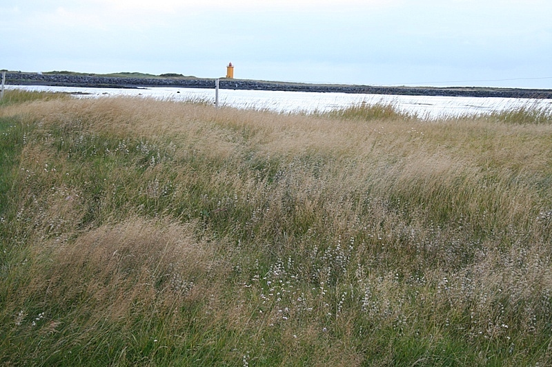 Gamla Hólakot