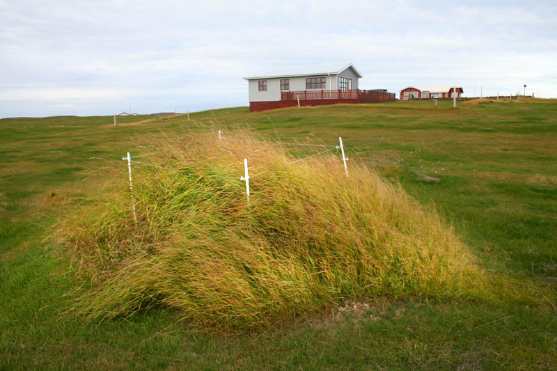 Hólakotsbrunnur