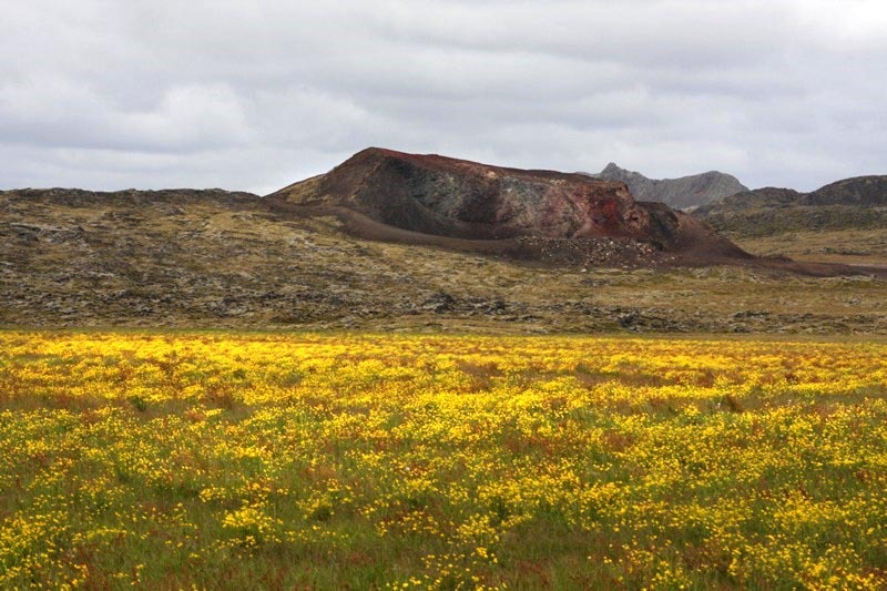 Hoskuldarvellir-901