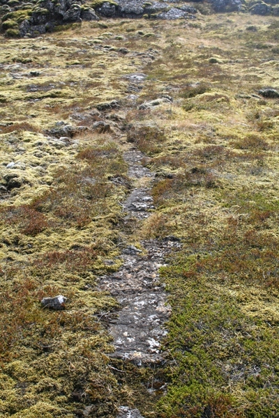 Hraunagatan