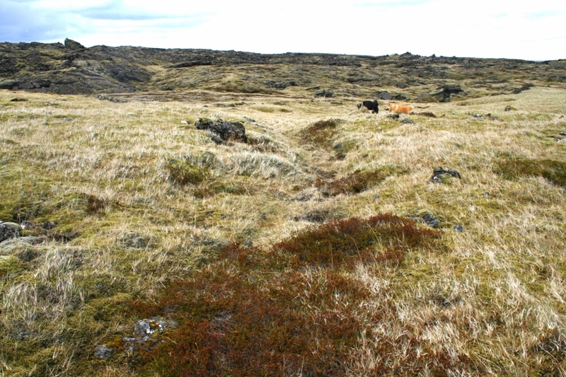 Hraunagatan