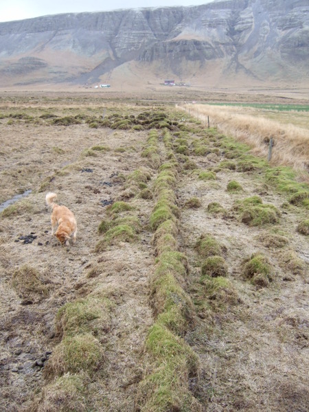 Garður eða hluti áveitu við Hurðarbak
