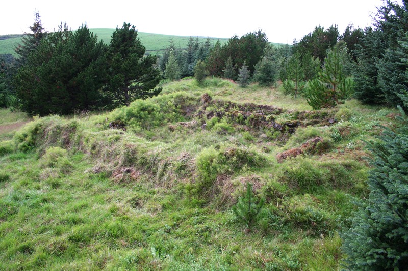 Beitarhúsatóft í Húshöfða Hushofdi-220