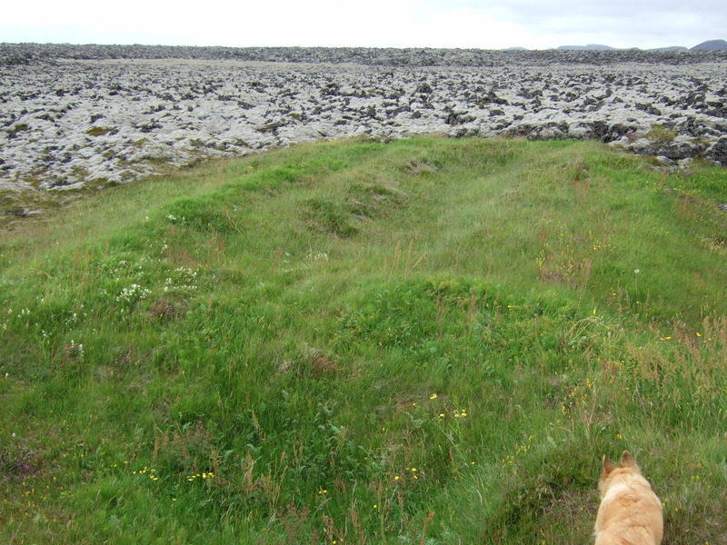 Elstu fornminjar landsins á Reykjanesskaganum...