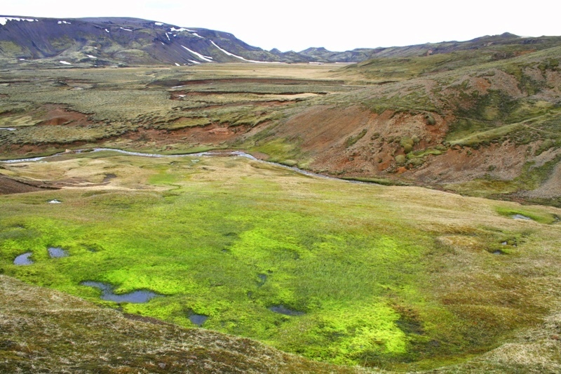 Innstidalur