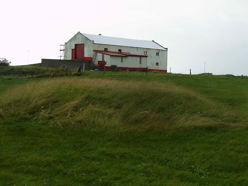 Dys við Garðshús í Grindavík