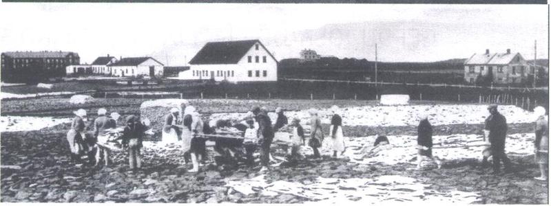 Hús á Kirkjusandi og í Laugarnesi á fyrri hluta síðustu aldar