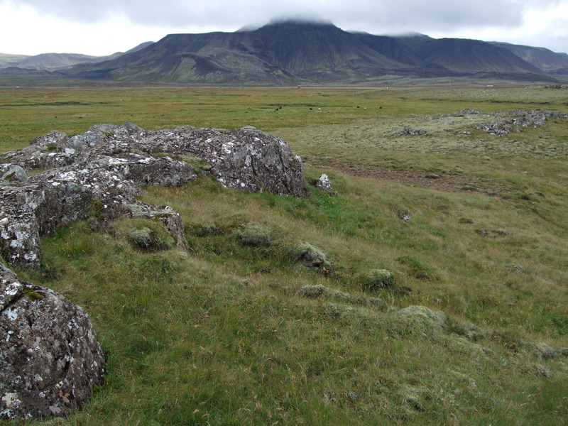 Rústin 28 árum síðar Rústin